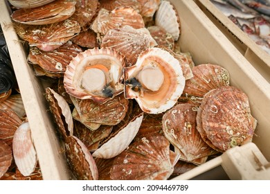 Fresh Scallops On A Seafood Market At Dieppe France