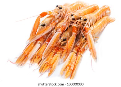 Fresh Scampi / Nephrops Norvegicus  