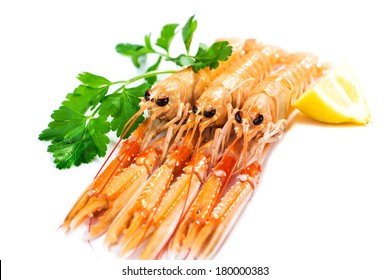 Fresh Scampi / Nephrops Norvegicus  