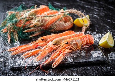 Fresh Scampi On Ice