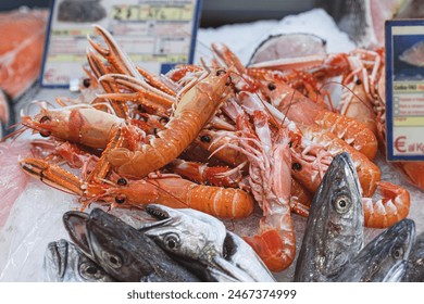 Fresh scampi, seafood dish that includes various preparations of certain crustaceans, especially langoustine, shrimp or prawns in a fish shop or market - Powered by Shutterstock