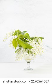 Fresh Scented Summer Bouquet Of White Bird Cherry Branch With Lush Bunches Of Tiny Flowers In Glass Vase In Elegant White Interior Of Living Room With Marble Tile Wall Wood Table, Copy Space, Vertical