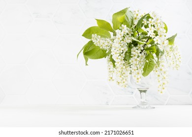 Fresh Scented Summer Bouquet Of White Bird Cherry Branch With Lush Bunches Of Tiny Flowers In Glass Vase In Elegant White Interior Of Living Room With Marble Tile Wall And Wood Table, Copy Space.