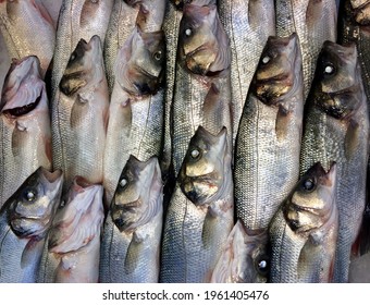 Fresh sea bass close up. Healthy food. - Shutterstock ID 1961405476