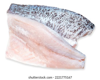 Fresh Sea Bass Fillet Sliced Ready To Cook, Fresh White Striped Bass Fish Isolated On White Background.