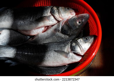 Fresh Sea Bass For Sale At Fish Market.  France. 