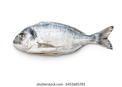 Fresh sea bream fish isolated on a white background. - Powered by Shutterstock