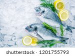 Fresh sea Bream on ice background