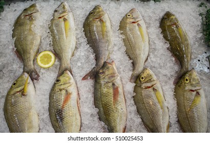 Fresh Sea Fish On Ice With Lemon Cut. Red Drum Or Redfish Catch For Dinner. Red Fish In Marketplace. Selling Fish In Grocery Store Or Fish Shop. Middle Size Sea Fish With Red Fins And Tail. Raw Fish