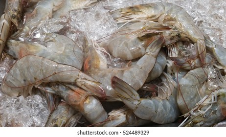 Fresh Sea Shimp On Ice