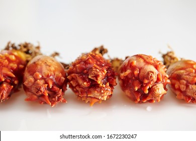 Fresh sea squirt on white background  - Shutterstock ID 1672230247