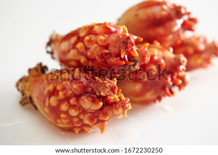 Fresh sea squirt on white background 