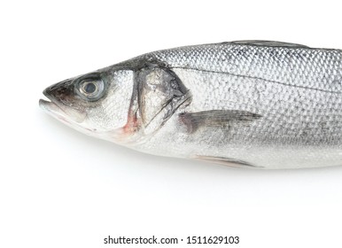 Fresh Seabass Fish On White Background