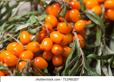Fresh seabuckthorn on the vintage wooden table