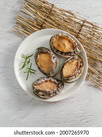 Fresh seafood abalone from the sea