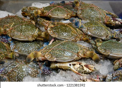 Fresh Seafood Crab Portunus Trituberculatus Stock Photo 1221381592 ...