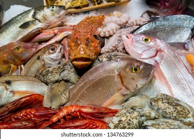 Fresh seafood in fish market or restaurant
