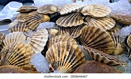 Fresh Seafood At The Market In Belfast