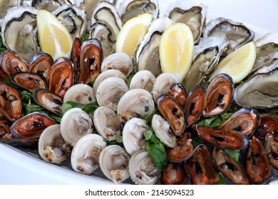 Fresh Seafood Platter. Venus Verrucosa, Oysters And Hairy Mussels With Lemons. Puglia Food