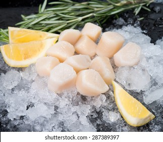 Fresh Seafood, Raw Scallops On Ice