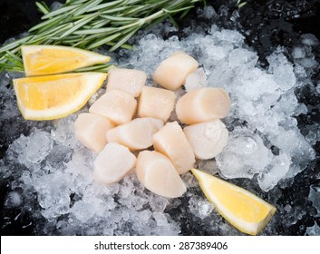 Fresh Seafood, Raw Scallops On Ice