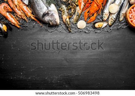 Fresh seafood. Various marine shrimp, shellfish and lobsters at the fishing net. On a black chalkboard.