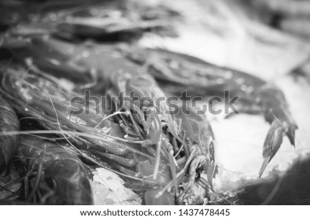 Similar – Image, Stock Photo show teeth Food Fish