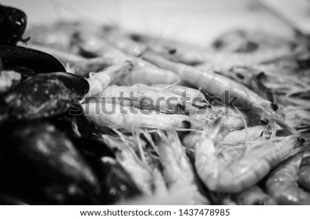 Similar – Image, Stock Photo show teeth Food Fish