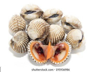 Coque Coquillage Hd Stock Images Shutterstock