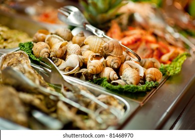 A Lot Of Fresh Shells On A Seafood Buffet