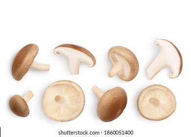 Fresh Shiitake mushroom isolated on white background with clipping path. Top view with copy space for your text. Flat lay