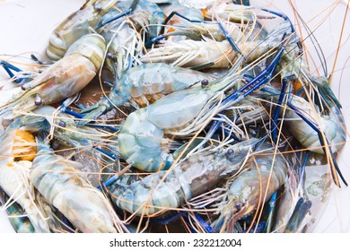 Fresh Shrimp / Prawn On Ice At The Raw Food Market, Bangkok Thailand