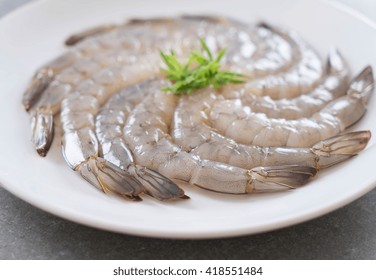 Fresh Shrimp/prawn On White Plate