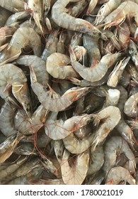 Fresh Shrimps In Indonesia Wet Market