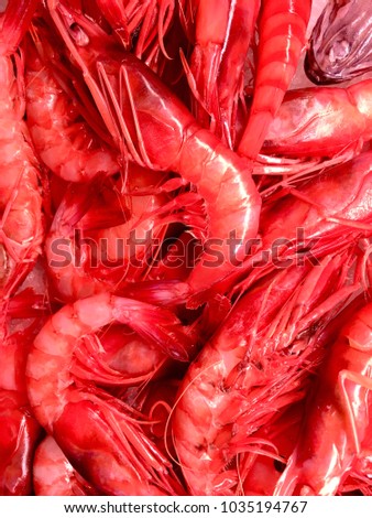 Fresh shrimps in the market showcase Stok fotoğraf © 