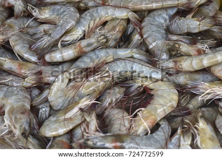 fresh shrimps prawns boiling king prawn blue leg shrimp a ton of shrimp seafood boiling into red skin prawn 商業照片 © 