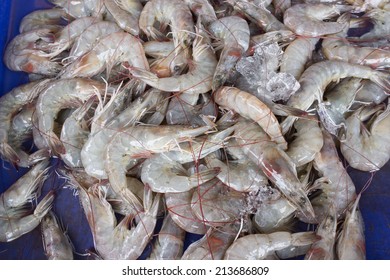 Fresh Shrimps Prawns at fish market