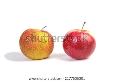 Fresh and shriveled apple isolated on white background. Comparison of young and old. Aging concept.