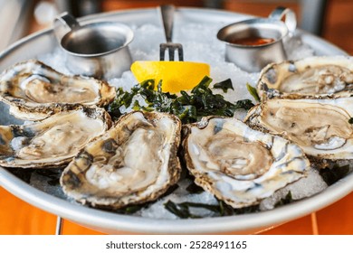 fresh shucked oysters on the half shell - Powered by Shutterstock