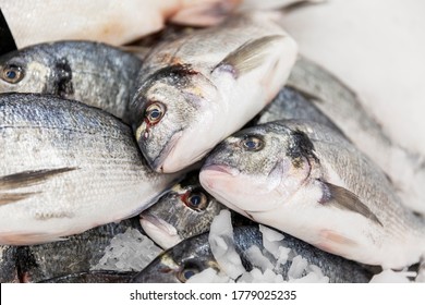 129,455 Silver fish Images, Stock Photos & Vectors | Shutterstock