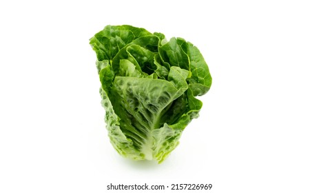 Fresh single Romaine or cos lettuce (Lactuca sativa L. var. longifolia) set in vertical isolated on white background, healthy eating vegetable concept, top view - Powered by Shutterstock