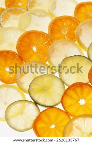 a fresh slice citrus pattern
