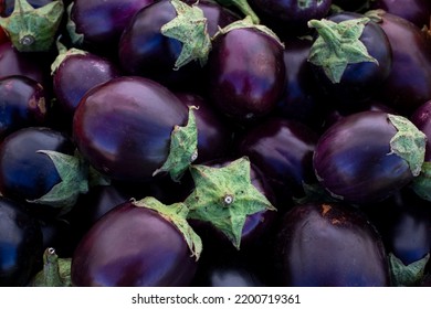 Fresh small round eggplants close up full frame - Powered by Shutterstock