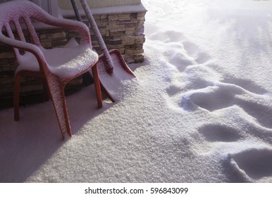 Fresh Snow In The Backyard On A Winter Night