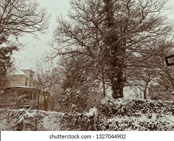 Fresh Snow In Baltimore