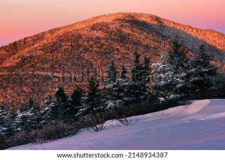 Fresh snow cover along the Appalachian Trail near Carvers Gap on the North Carolina and Tennessee line