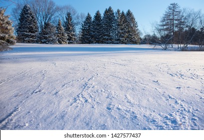 Fresh Snow In Northwest Ohio