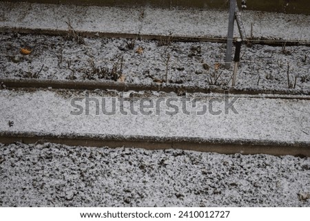 Similar – Image, Stock Photo Traceless Snow Leaf Tree