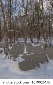 Fresh Snow Surrounds This Frozen Woodland Puddle In Freneau Woods Park In Monmouth County New Jersey.