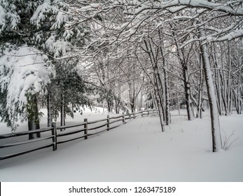 Fresh Snowfall In Monmouth Battlefield State Park In Freehold New Jersey.